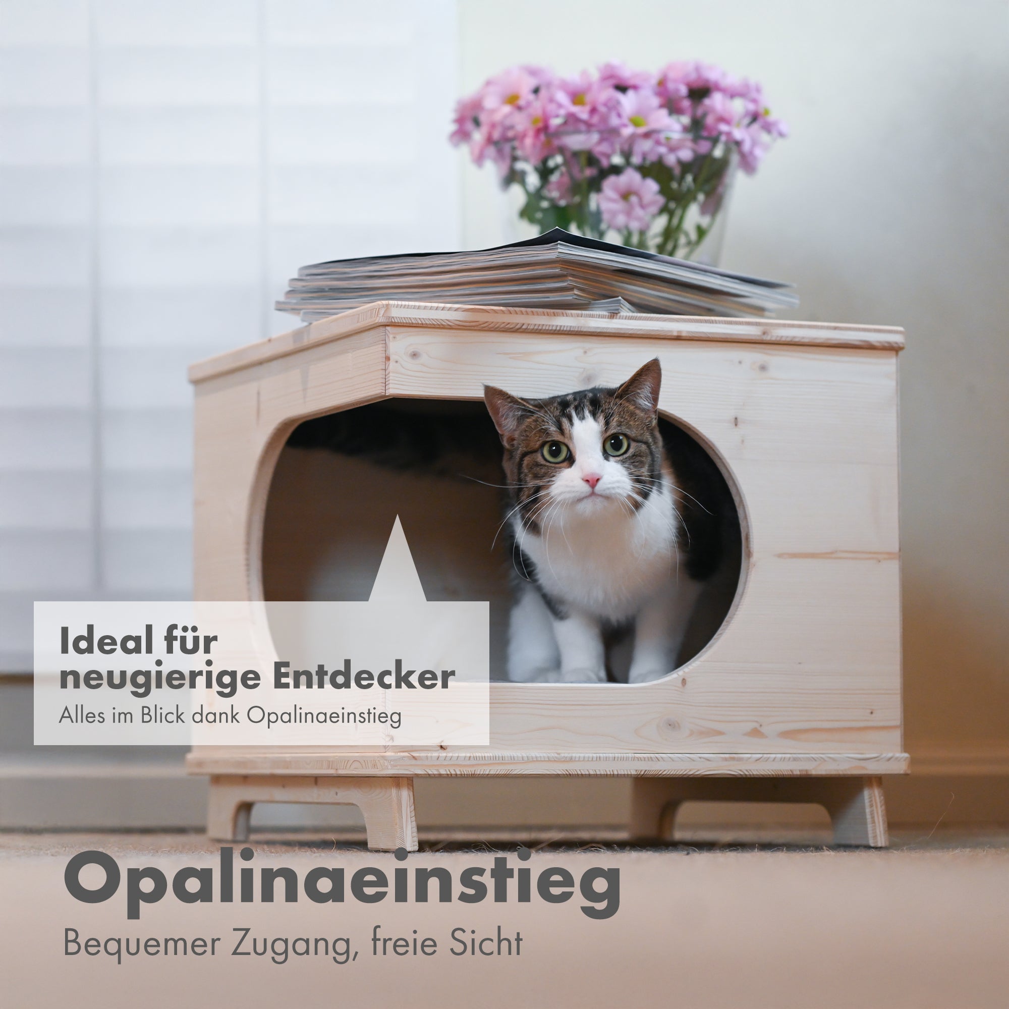 Katzenhaus aus Fichtenholz