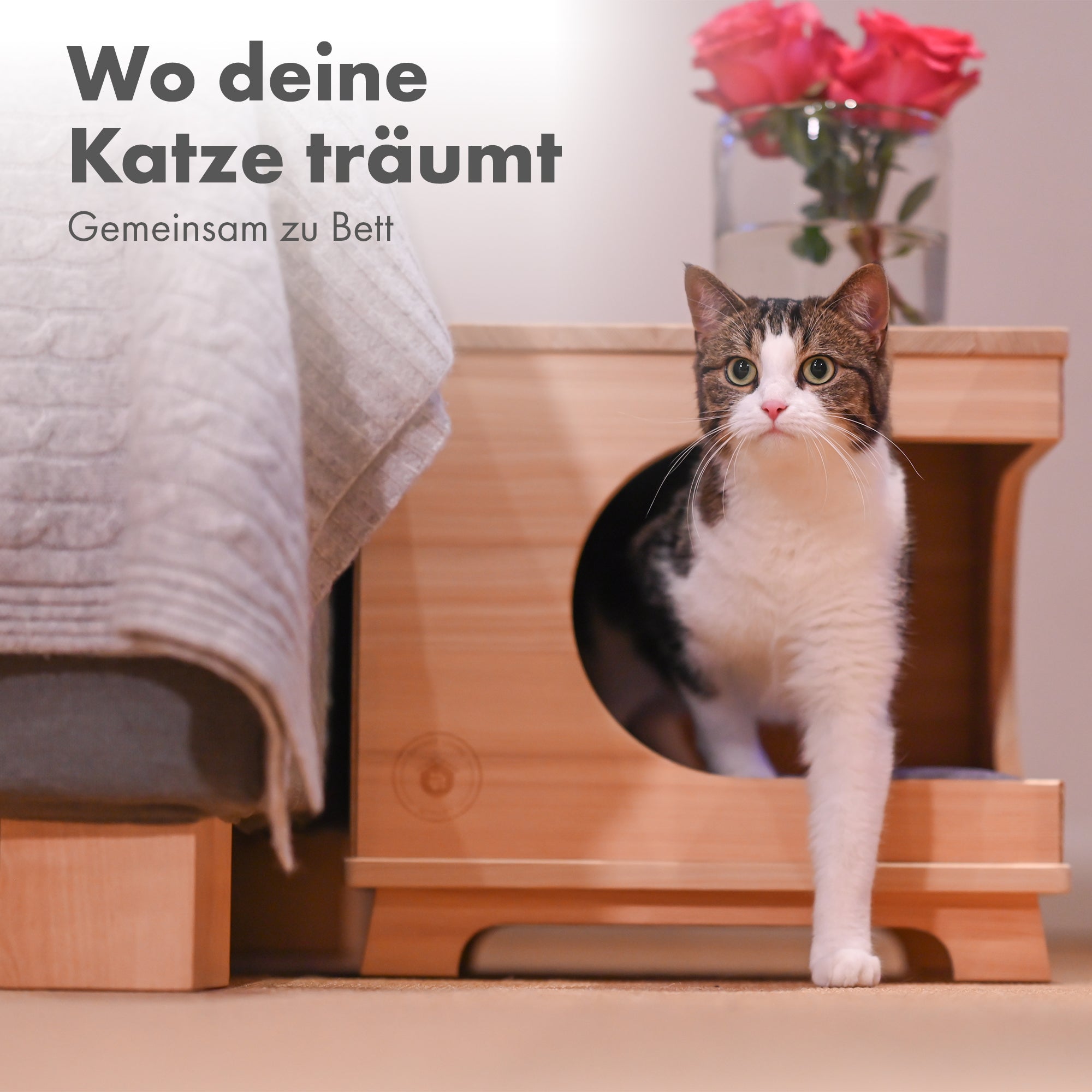 Katzenhaus aus Lärchenholz