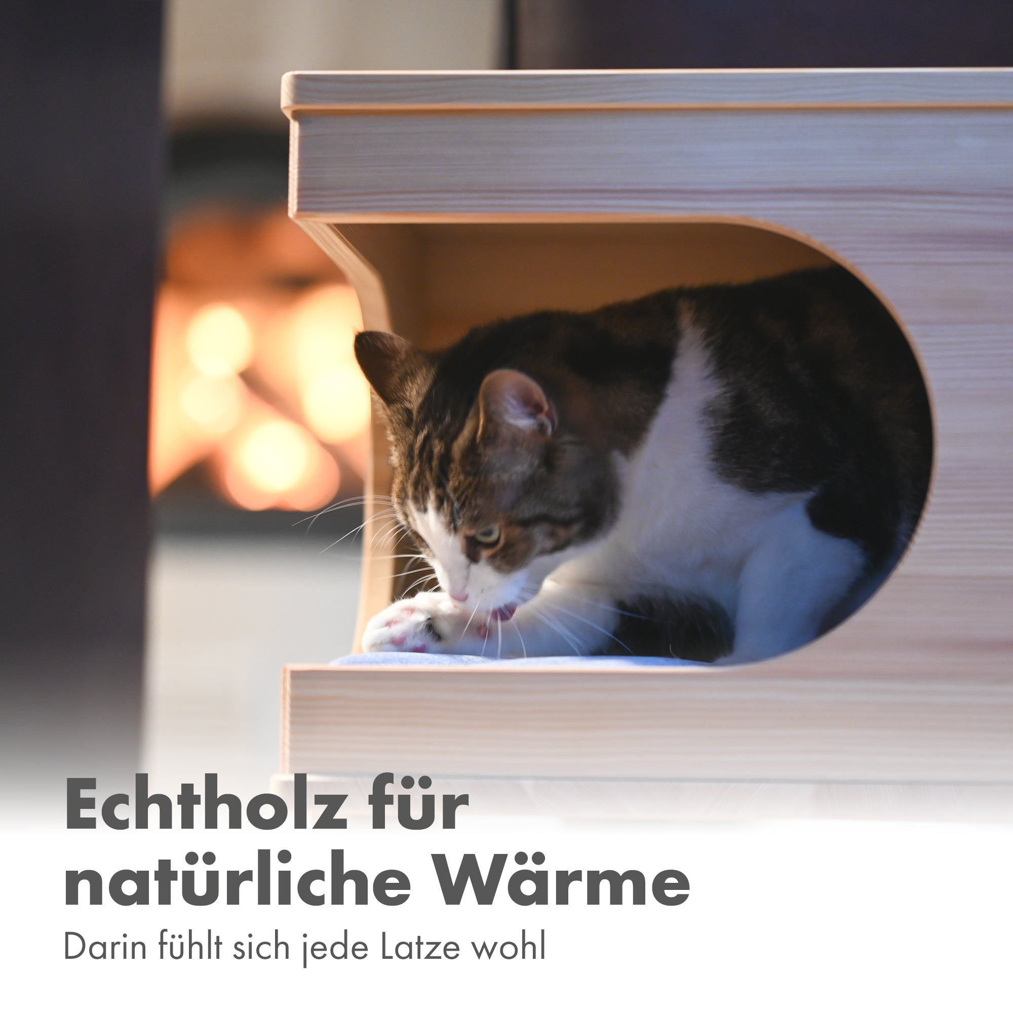 Katzenhaus aus Lärchenholz