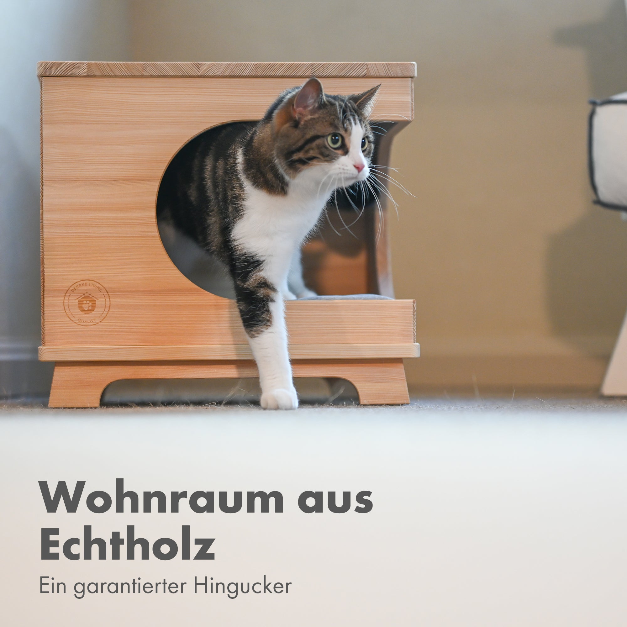 Katzenhaus aus Lärchenholz